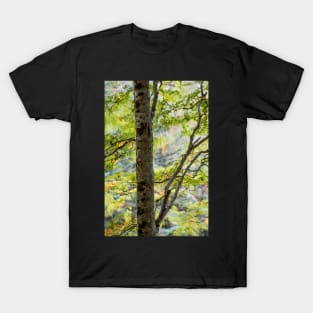 Gruinard Birch in motion T-Shirt